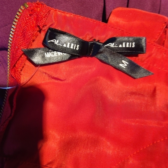 NWT ALI & KRIS dress - Picture 6 of 7